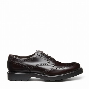 Zapatos Brogue Solovair 5 Eye Gibson Hombre Marrones | LS5-813-BNG-B-060