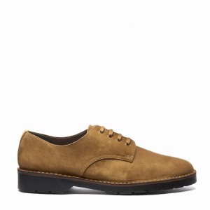 Zapatos Gibson Solovair Suede 4 Eye Hombre Marrones | 390-013-060