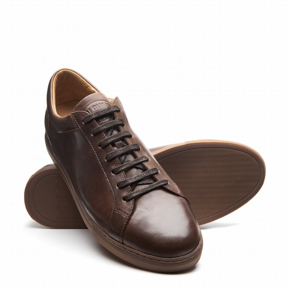 Zapatillas Solovair Gaucho Crazy Horse 070 Mujer Marrones | S7-070-CH-B-030