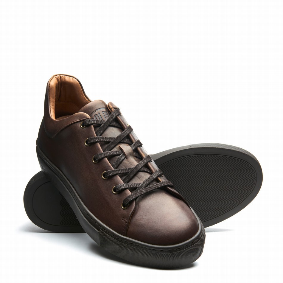 Zapatillas Solovair Gaucho Crazy Horse Hombre Marrones | S6-SNE-CH-BNS-030